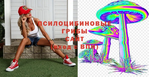 каннабис Арсеньев
