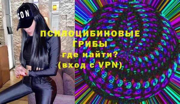 гашик Аркадак