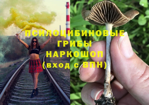 гашик Аркадак