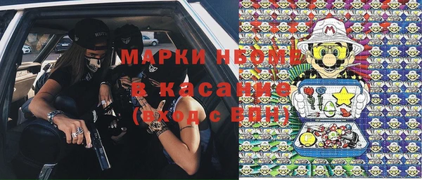 гашик Аркадак